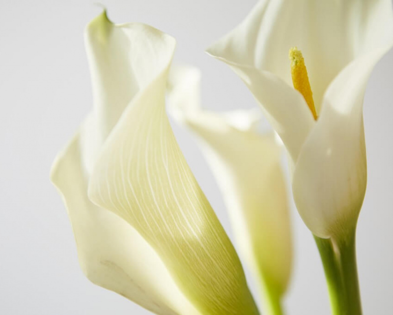 MKG Augsburg am Vincentinum - Dr. Dr. Stefan Mayr